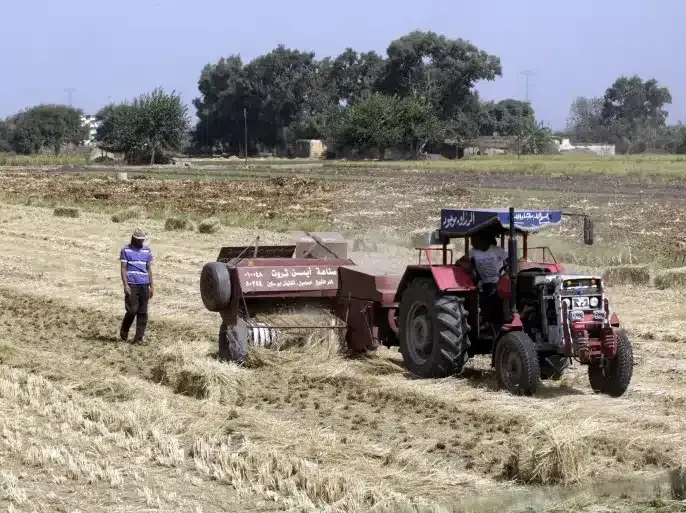 تصريحات مضللة حول مساحة الأراضي المستصلحة في مصر.. تعرف على الأرقام الصحيحة