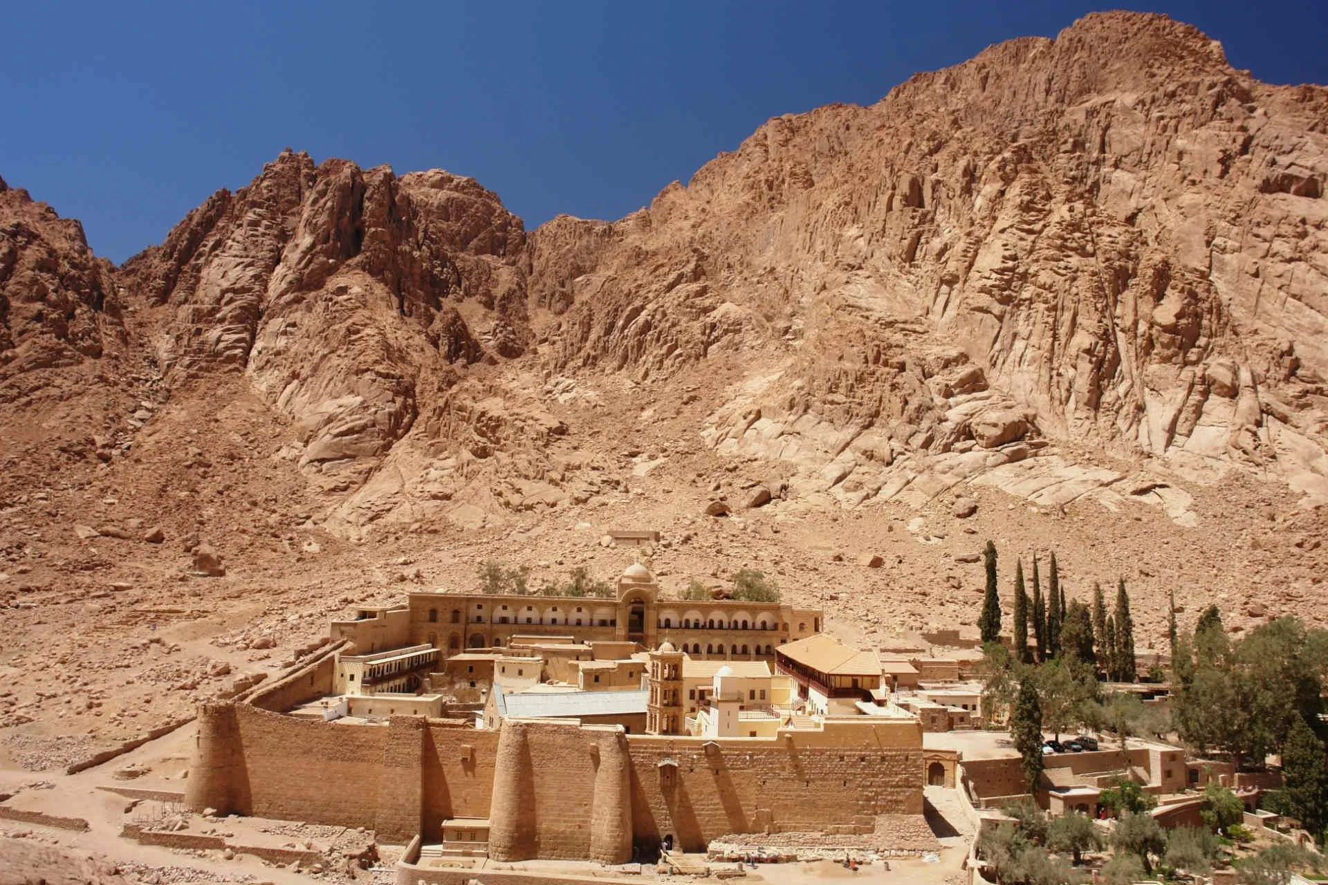 الادعاء بأن السيسي هو من أصدر قرار 