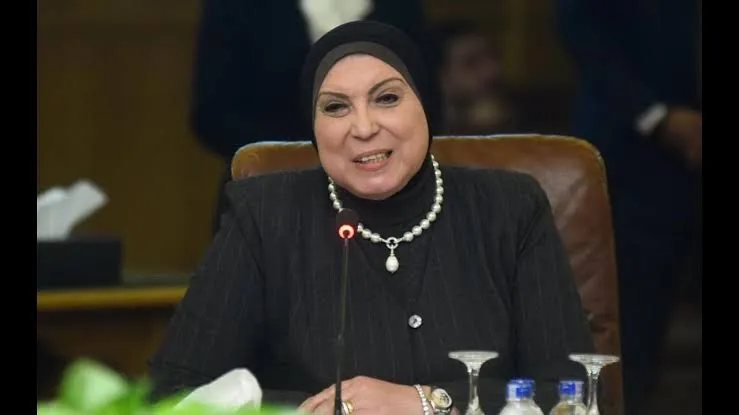 تضارُب بين رئيسة جهاز المشروعات ونائبها حول أرقام التمويل في 2021