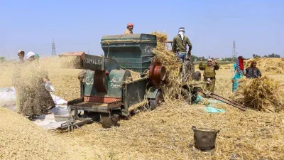 مصر تستورد 13 مليون طنًا قمح وليس 5 ملايين.. و1.9 مليون طن زيت وليس 780 ألفًا