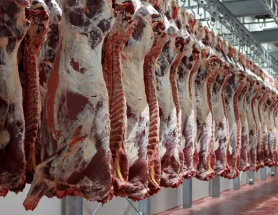 ما هي حقيقة توقف مصر عن استيراد اللحوم البرازيلية من 6 أشهر؟