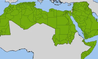 في ذكرى تأسيسها.. جامعة الدول العربية تحت هجوم مستخدمي (X)