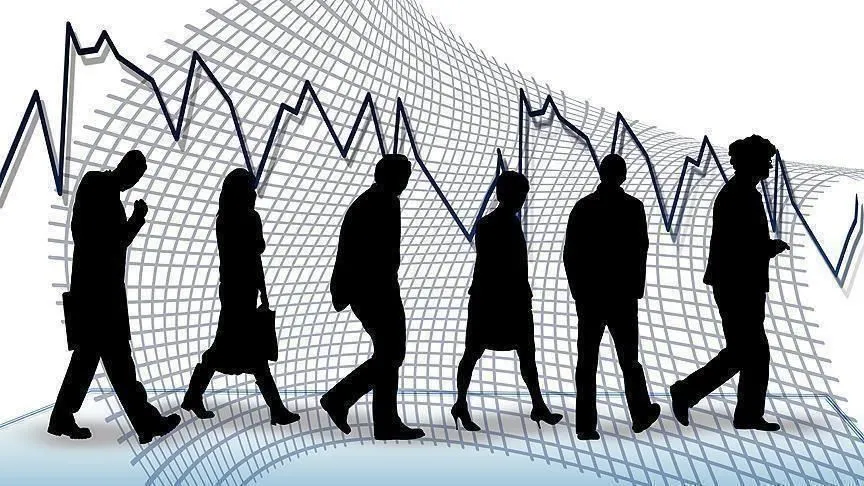 وزير المالية المصري يُطلق نسبًا 