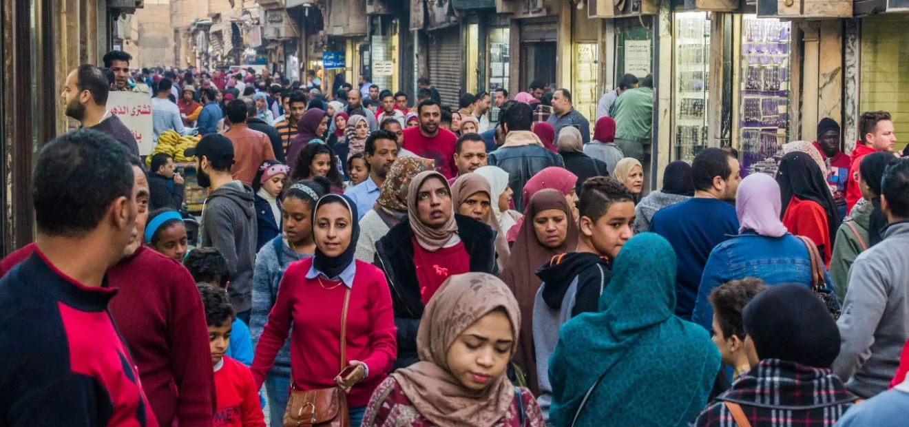 عدد سكان 