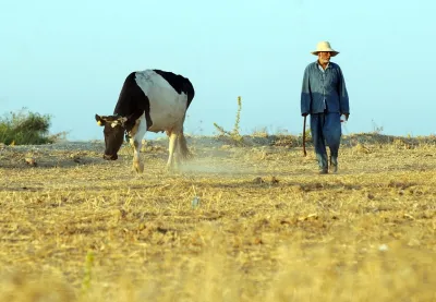 تونس لا تملك أكبر ضيعة للأبقار وتوليد الطاقة.. والصور المنتشرة من 