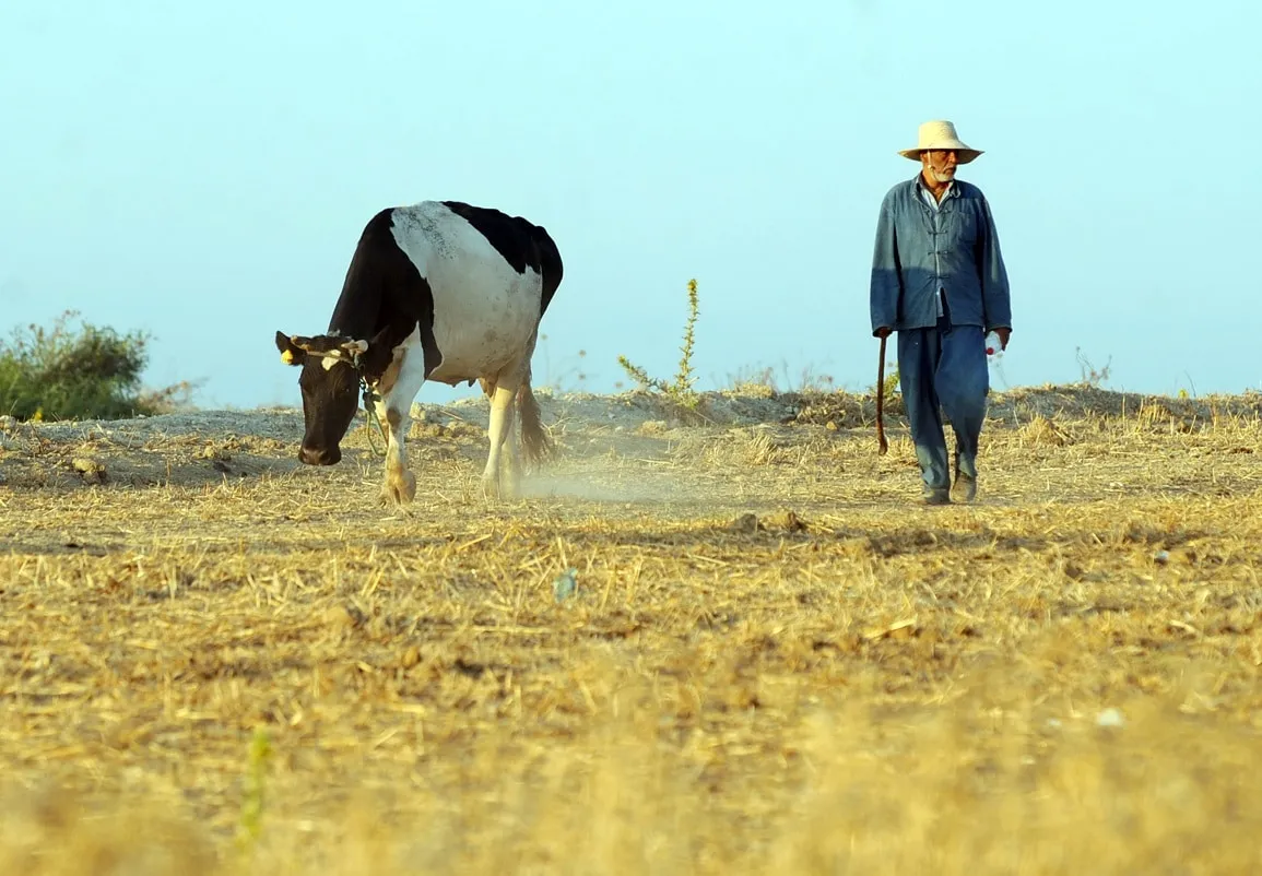 تونس لا تملك أكبر ضيعة للأبقار وتوليد الطاقة.. والصور المنتشرة من 