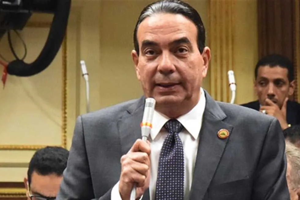 كم جمعية أهلية في مصر؟ أرقام وكيل 