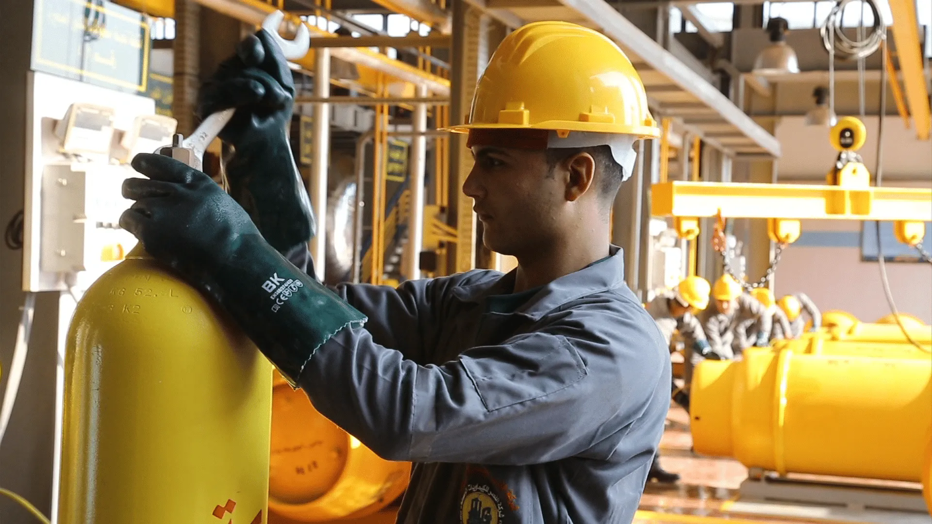 عدد مستفيدي 