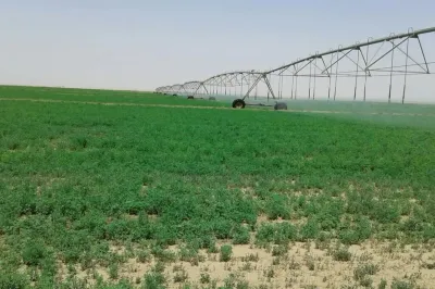 مشروعات استصلاح الأراضي الأخيرة في مصر ليست الأولى منذ 1967