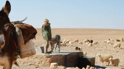 الآبار العشوائية المحفورة بتونس منذ 2011 عددها ليس 15 ألفًا