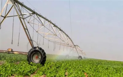 أرقام مستشار وزير الزراعة عن مساحة الدلتا الجديدة 