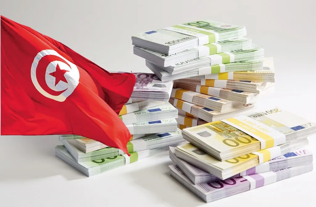 القروض الموجهة للاستثمار في تونس لا تُمثل أغلبية القروض