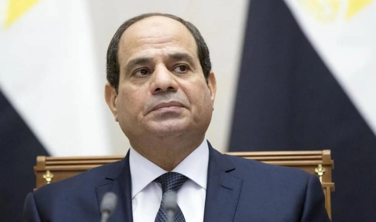 الرئيس المصري لم يصدر تكليفًا بالعفو عن الإخوان المسلمين