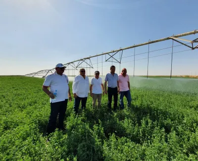 الرقعة الزراعية المصرية لم تزداد 2 مليون فدان بل 700 ألف فدان فقط