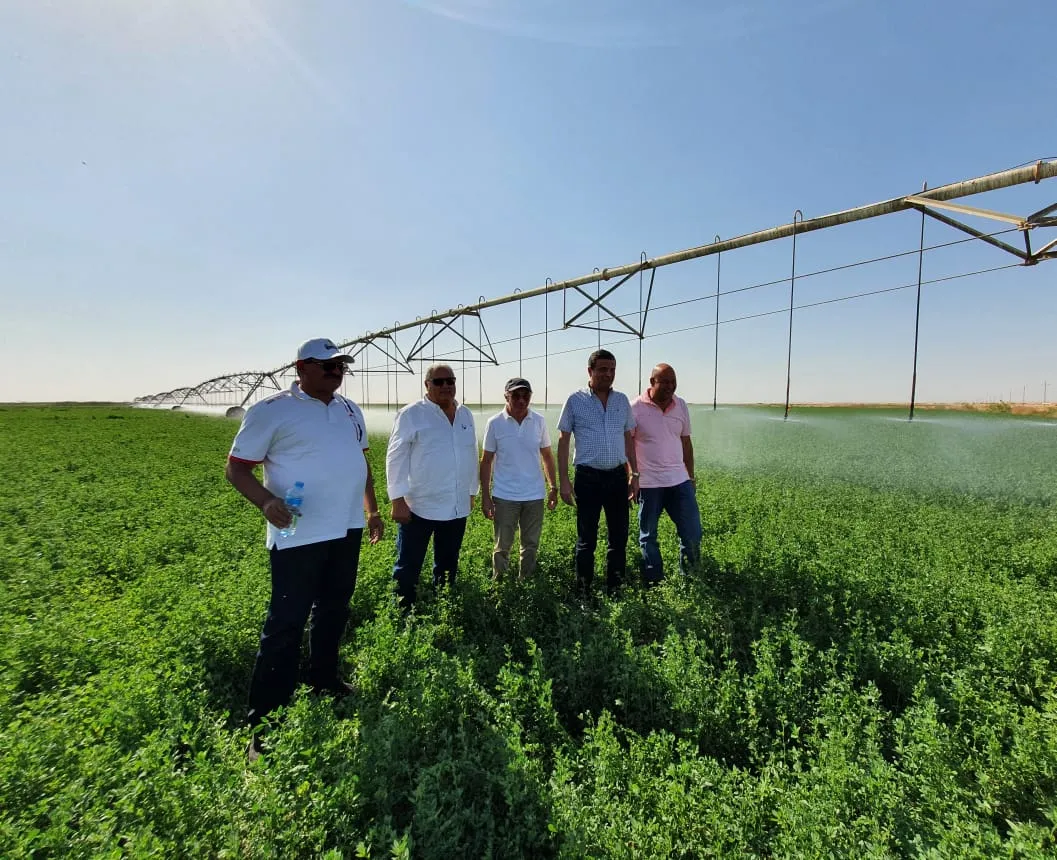 الرقعة الزراعية المصرية لم تزد 4 ملايين فدان في عهد السيسي