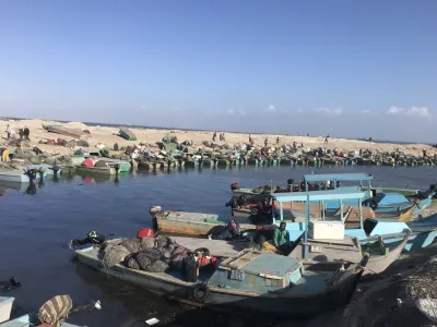 مصر لا تنتج 400 ألف طن أسماك من البحيرات سنويًا