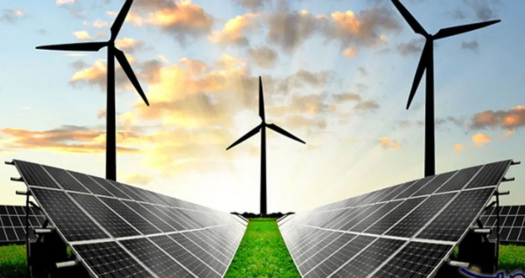 بعد تضارب البيانات.. ما هي نسبة المشروعات الخضراء الحقيقية في مصر؟