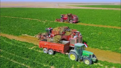 تصريحات “غير دقيقة” عن زيادة الرقعة الزراعية في مصر