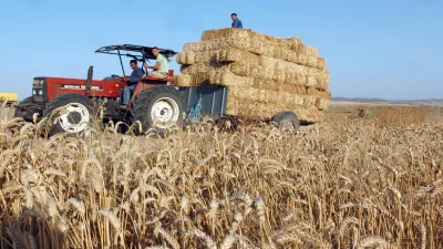 هل تنتهي أزمة قطاع الحبوب في تونس؟ 