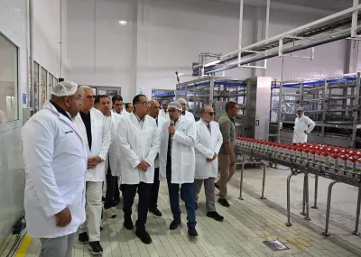 مساهمة قطاع الصناعة في الناتج المحلي المصري لم ينخفض إلى 11.8%