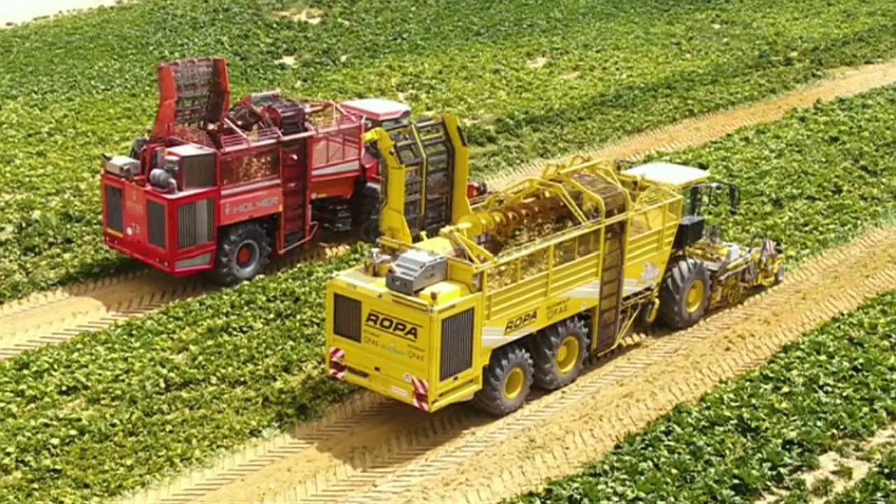 مصر لم تنتهي من استصلاح 1.5 مليون فدان أراضي