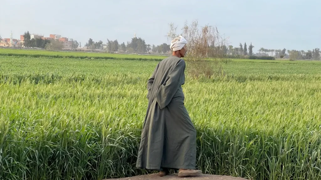 المصدر: الجزيرة نت