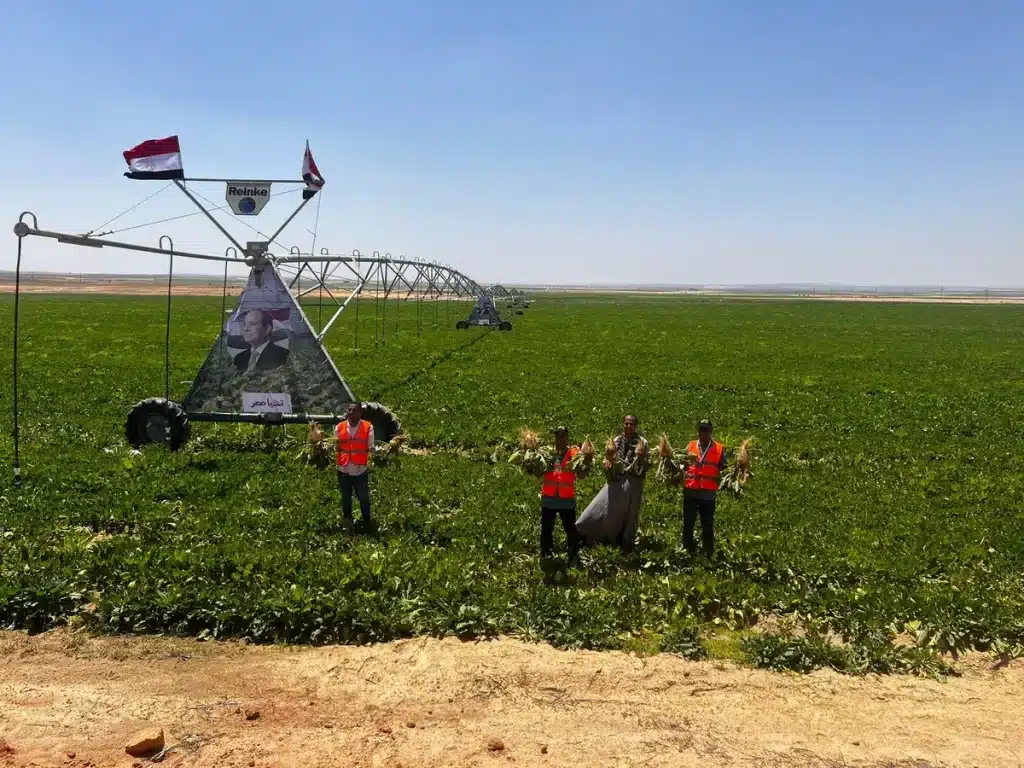 المصدر: العربية