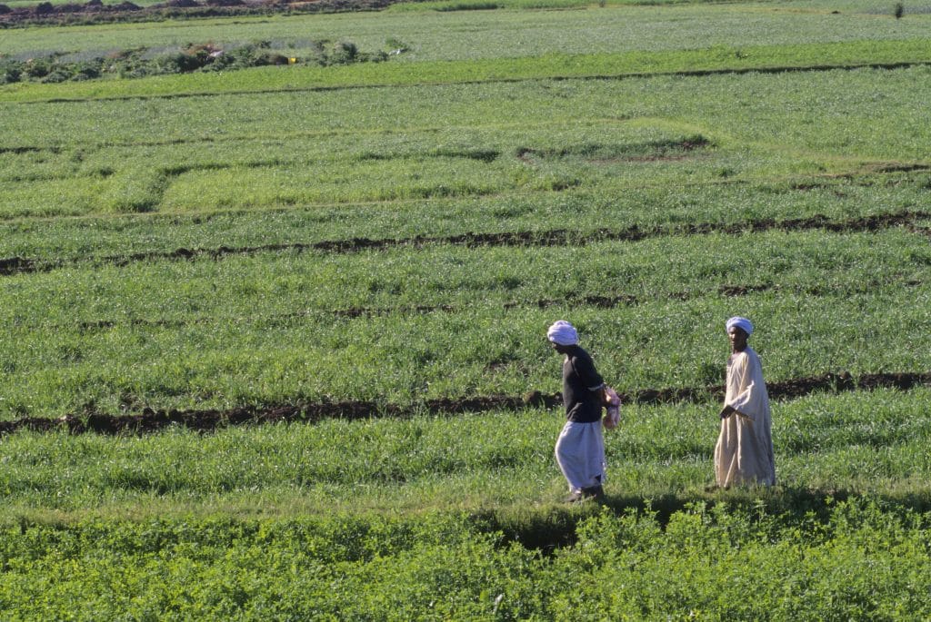 المصدر: Getty Images