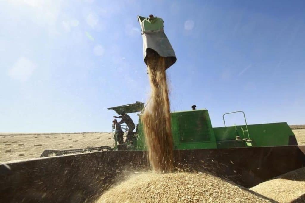 المصدر: اندبندنت عربية