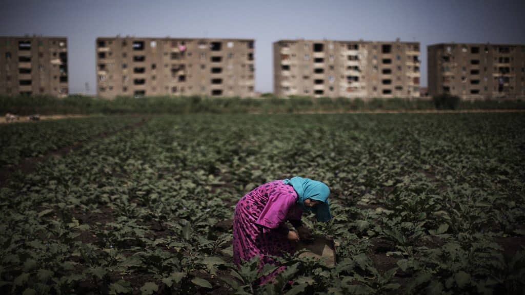 المصدر: AFP/Getty Images