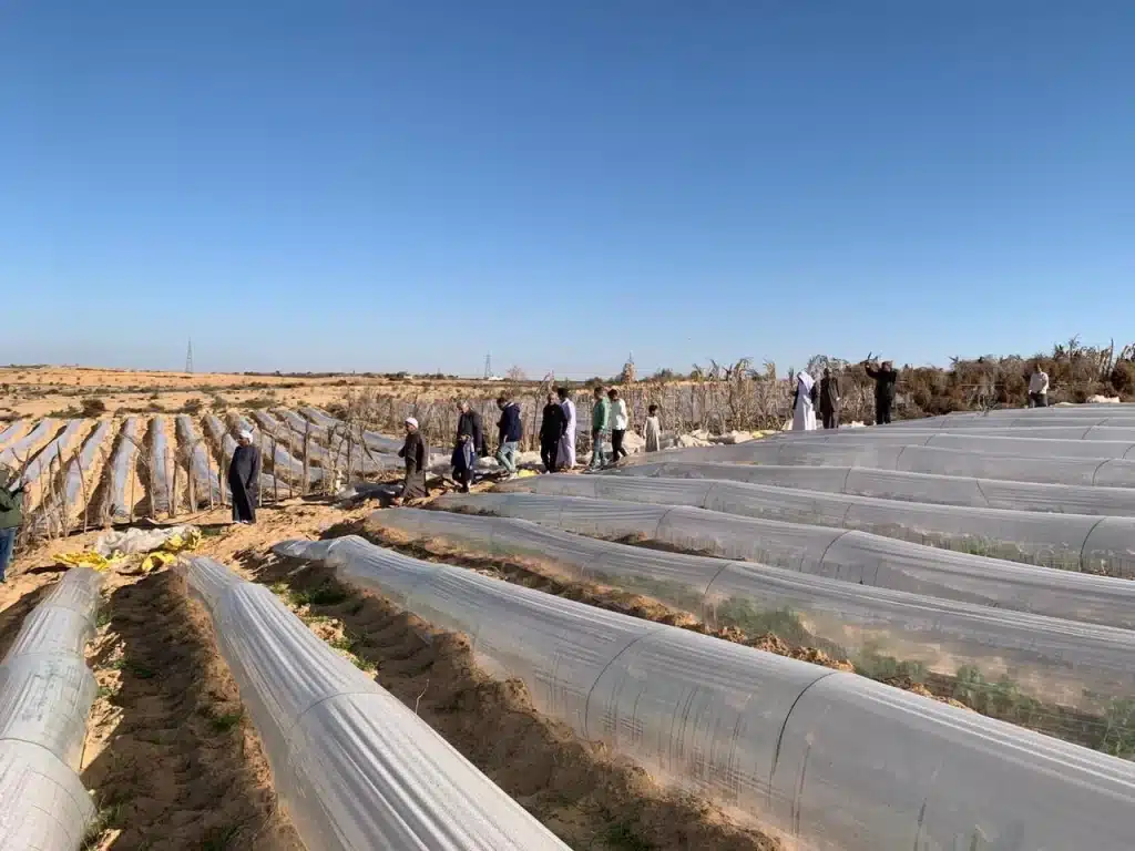 المصدر: مبتدا