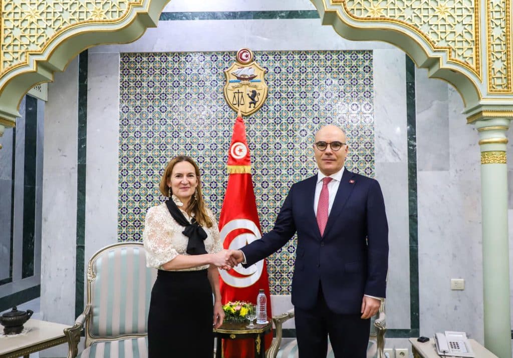 وزير الشؤون الخارجية التونسي يلتقي سفيرة فرنسا - المصدر: 24-24