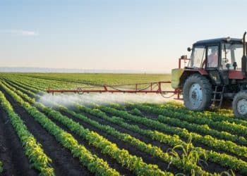 المصدر: الصباح نيوز