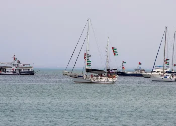 المصدر: TRT Global