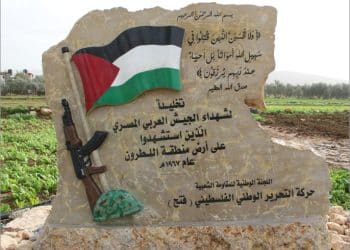 هل قدمت مصر 100 ألف شهيدًا في مواجهة إسرائيل من أجل فلسطين؟