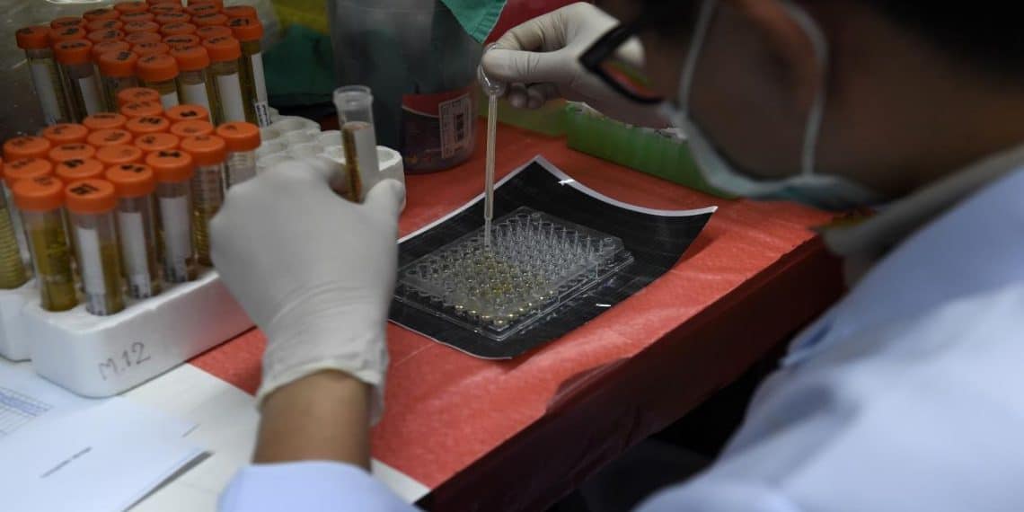 خبراء يجرون أبحاثا حول خطورة طفرة دلتا بلس