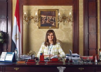 هل  تهتم الحكومة بجميع المصريين بالخارج حقًا؟ وهل يشمل ذلك المُعارضين؟