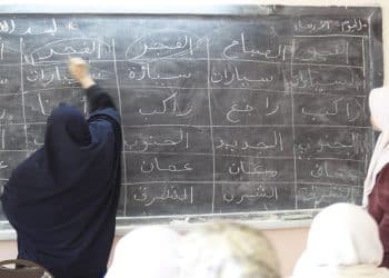 لماذا تعلن وزيرة التخطيط أرقام غير دقيقة عن البطالة والأمية؟