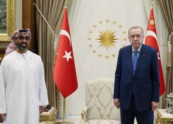 معلومات غير دقيقة أعلنها عضو بمجلس الشيوخ حول قطاع غزة وعلاقات الإمارات وتركيا.. فما هي؟