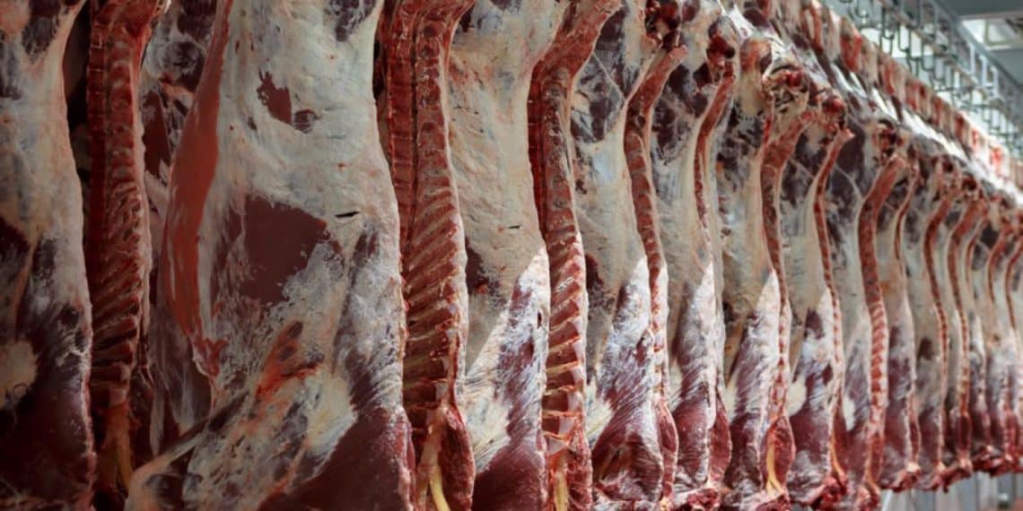 ما هي حقيقة توقف مصر عن استيراد اللحوم البرازيلية من 6 أشهر؟