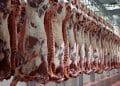 ما هي حقيقة توقف مصر عن استيراد اللحوم البرازيلية من 6 أشهر؟