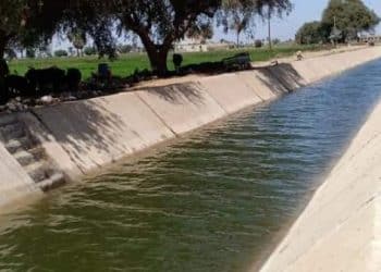 بعد تضارب التصريحات.. كم تبلغ التكلفة الحقيقية لمشروع تبطين الترع؟