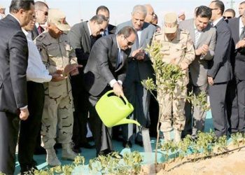 الأراضي الزراعية.. بين وعود التنمية وسياسات العطش والتبوير