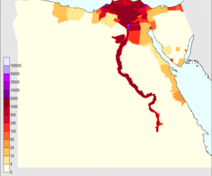 ما هي المساحة المأهولة بالسكان في مصر؟.. تصريحات غير دقيقة لوكيل مجلس النواب