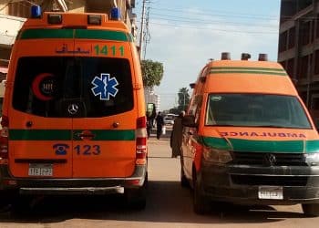 ألمانيا لن تنشئ مصنعًا لسيارات الإسعاف في مصر.. تصريح مستشار الرئيس غير صحيح