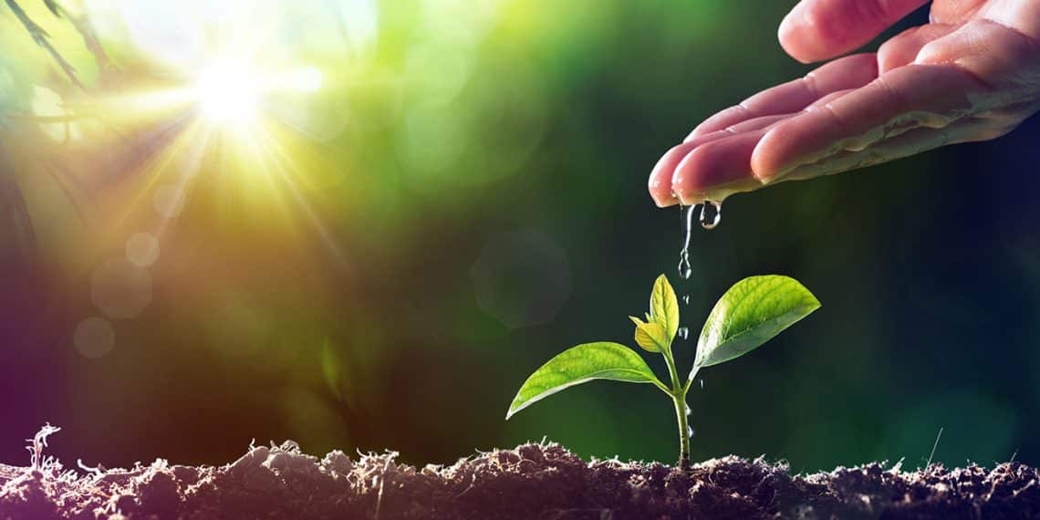 وزيرة البيئة تعلن أرقامًا غير صحيحة عن تمويل مؤتمر عالمي ترأسه مصر