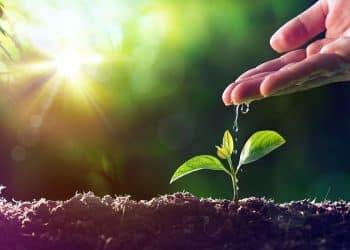 وزيرة البيئة تعلن أرقامًا غير صحيحة عن تمويل مؤتمر عالمي ترأسه مصر