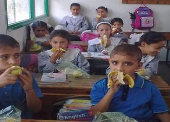 أرقام صادمة حول عدد حالات سوء التغذية بين طلاب المدارس في مصر.. تعرف
