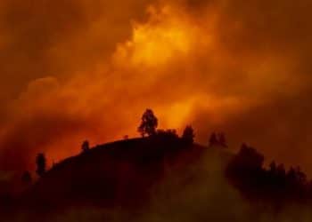 هل مصر أكثر دول العالم تأثرًا بالتغيرات المناخية كما يقول وزير الري؟