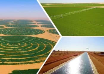 معاون وزير الزراعة يؤكد استصلاح 4 ملايين فدان جديدة.. هكذا كشفنا عدم دقة أرقامه